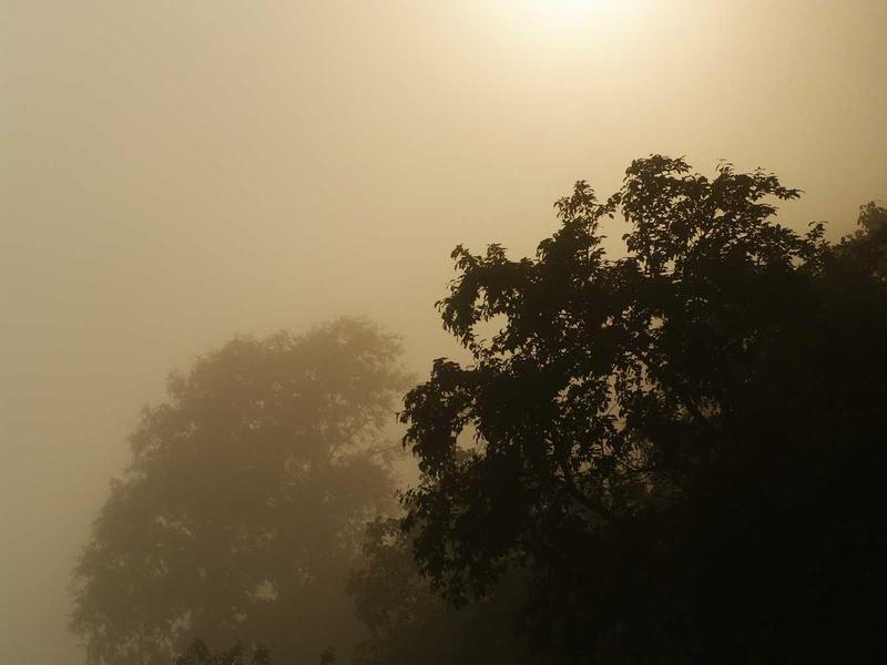 Mercedes-Benz C 220 d AMG Line