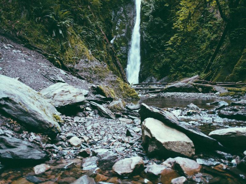 Mercedes-Benz C 220 d AMG Line