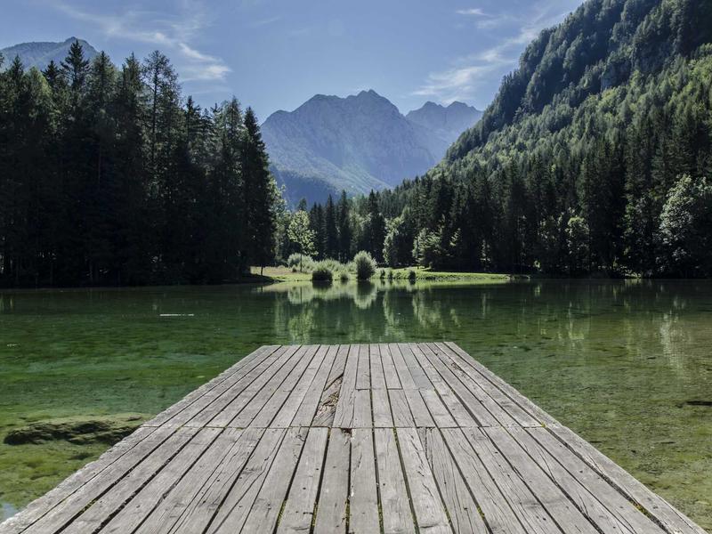 Mercedes-Benz C 220 d AMG Line