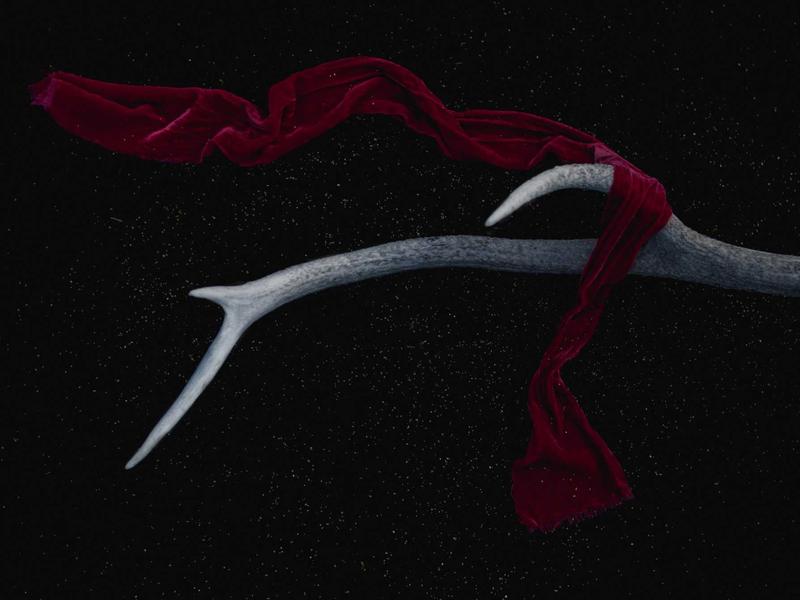 Mercedes-Benz C 220 d AMG Line