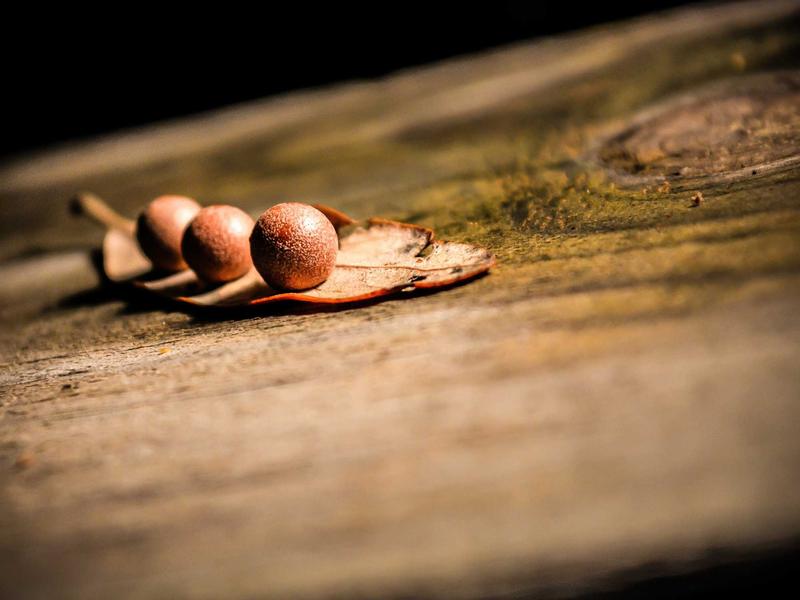 Mercedes-Benz GLC 300 4MATIC AMG Line