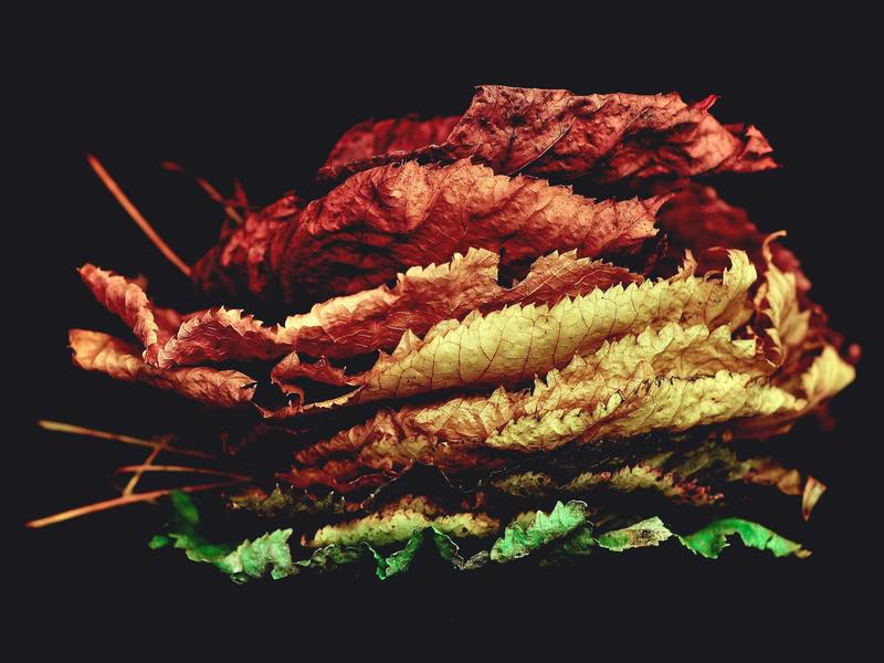 Mercedes-Benz A 200 Progressive