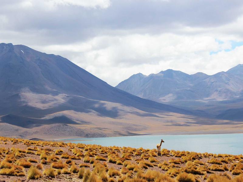 Mercedes-Benz A 200 Progressive