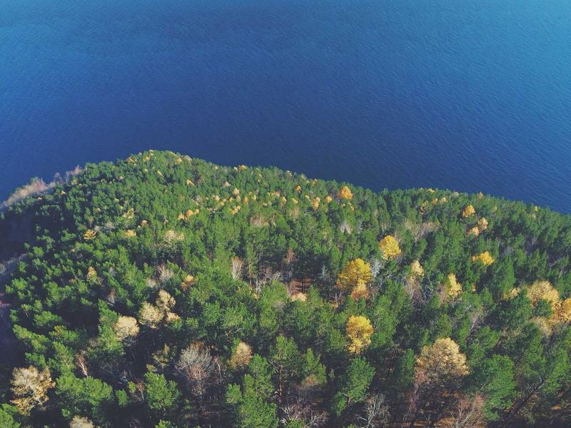 Mercedes-Benz E 300 de Avantgarde