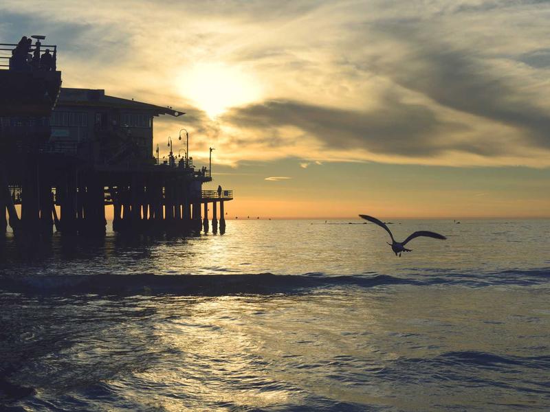 Audi A4 40 TDI quattro S-Line