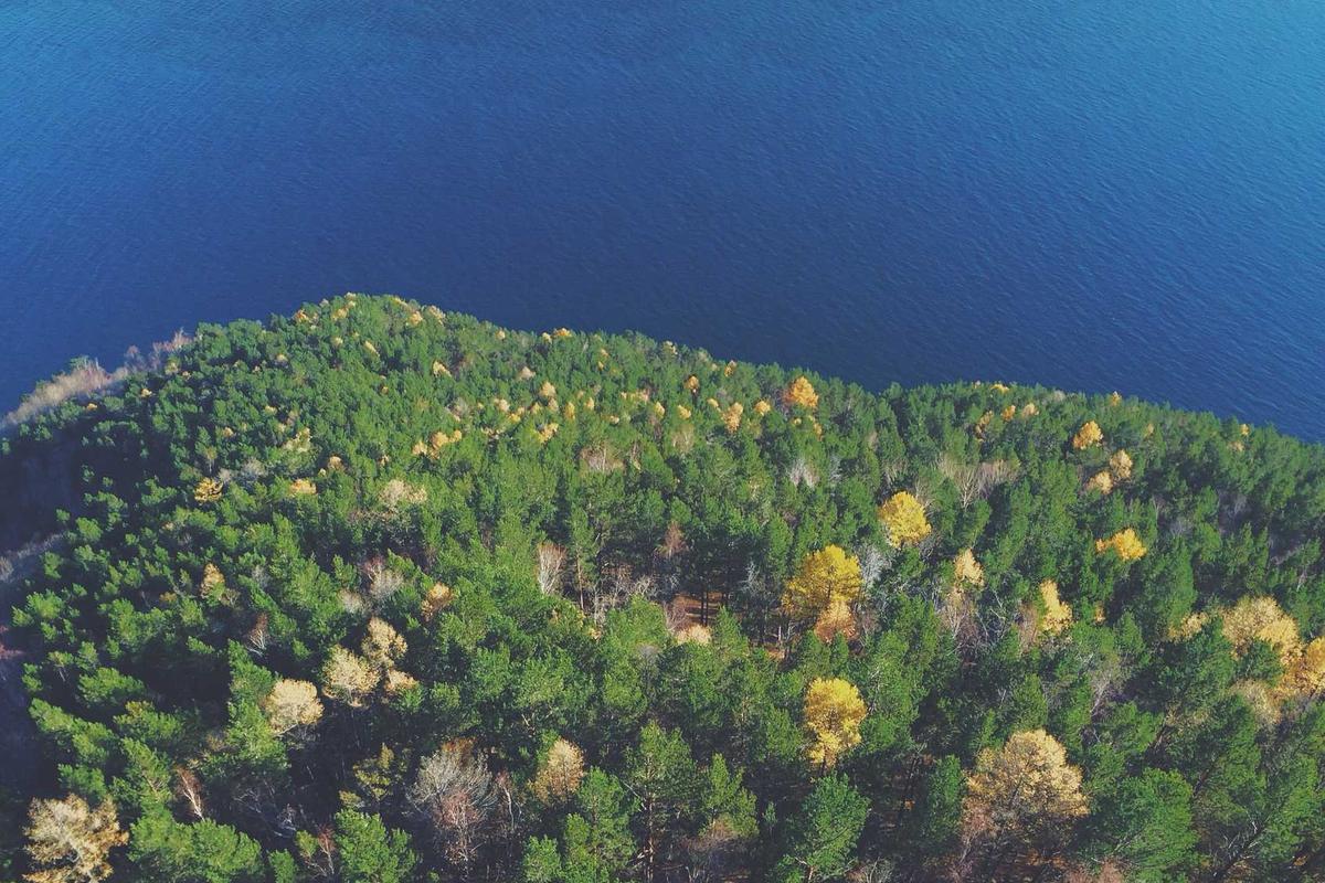 Audi Q5 45 TFSI quattro