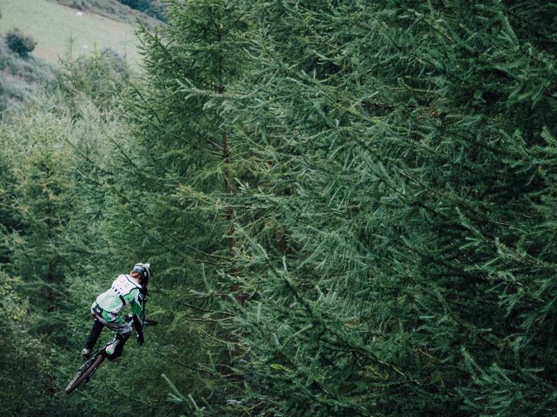 Audi Q5 45 TFSI quattro