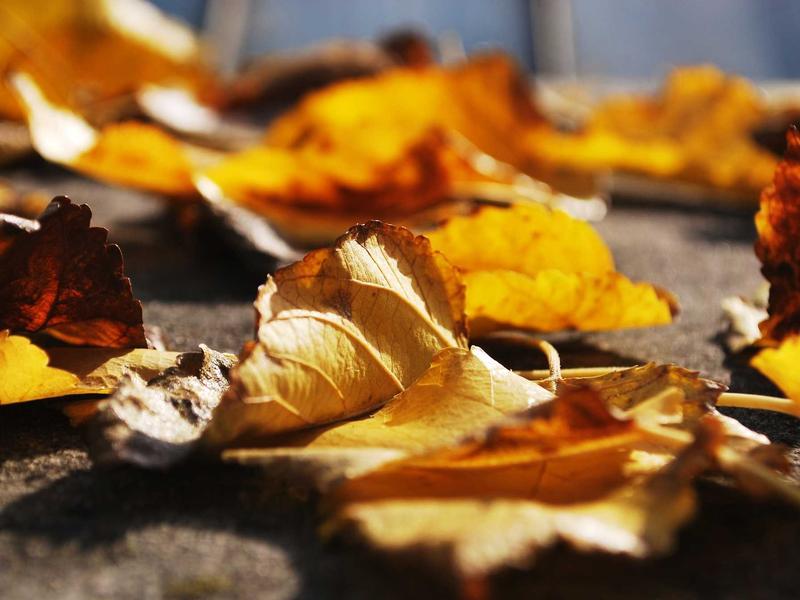 Audi A3 Sportback 35 TFSI S-Line