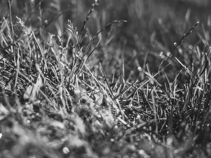 Audi A3 Sportback 35 TFSI S-Line