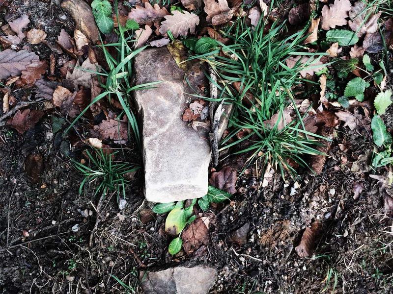 Audi Q3 35 TDI S-Line