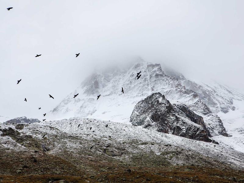 Volkswagen T-Roc 1.5 TSI Style