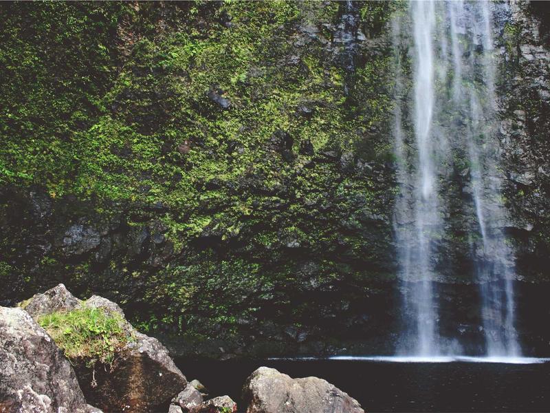 Volkswagen T-Roc 1.5 TSI Style