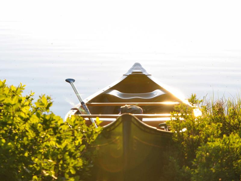 Volkswagen ID.4 Pro Performance