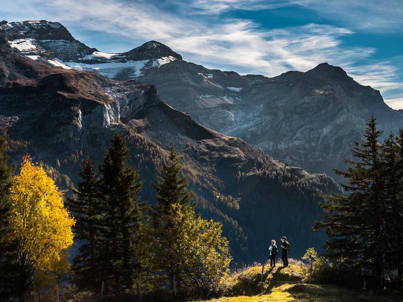 Toyota Corolla 1.8 Hybrid Active