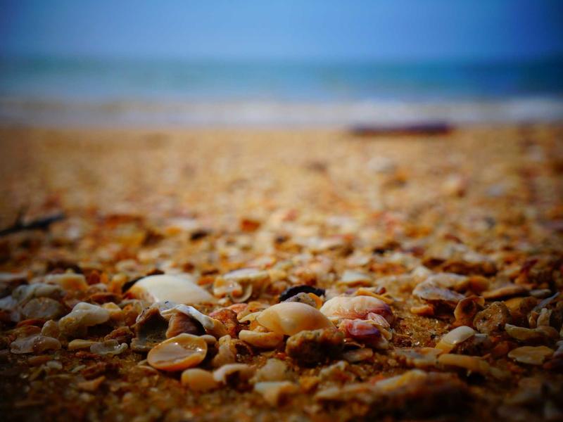 Toyota Corolla 1.8 Hybrid Active