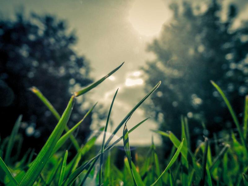 Toyota RAV4 2.5 Hybrid AWD-i Luxury