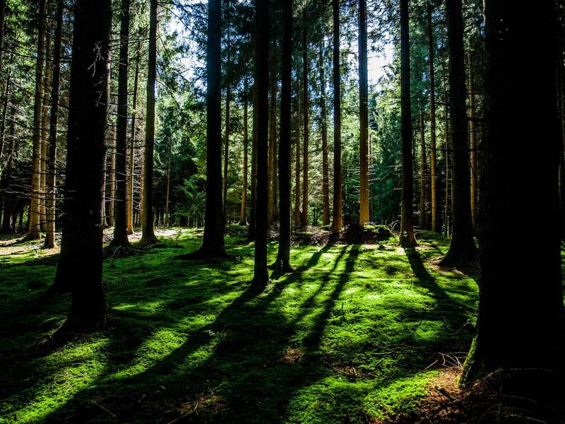 Toyota C-HR 2.0 Hybrid GR Sport