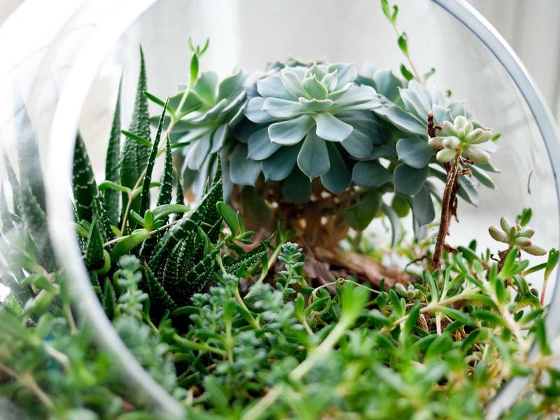 Skoda Octavia 2.0 TDI DSG Style