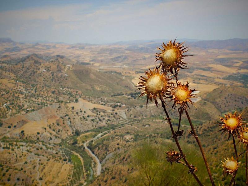 Skoda Superb 2.0 TDI DSG L&K
