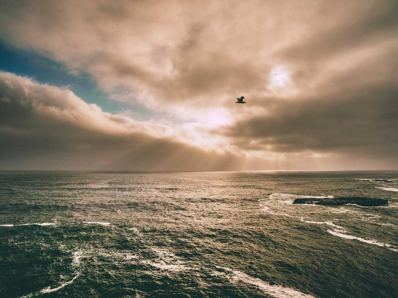 Skoda Kamiq 1.0 TSI Style