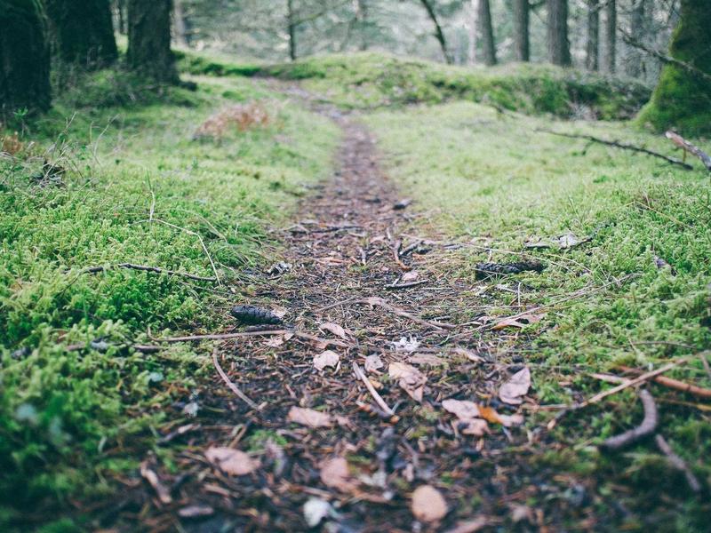 Dacia Duster 1.5 Blue dCi 4x4 Prestige