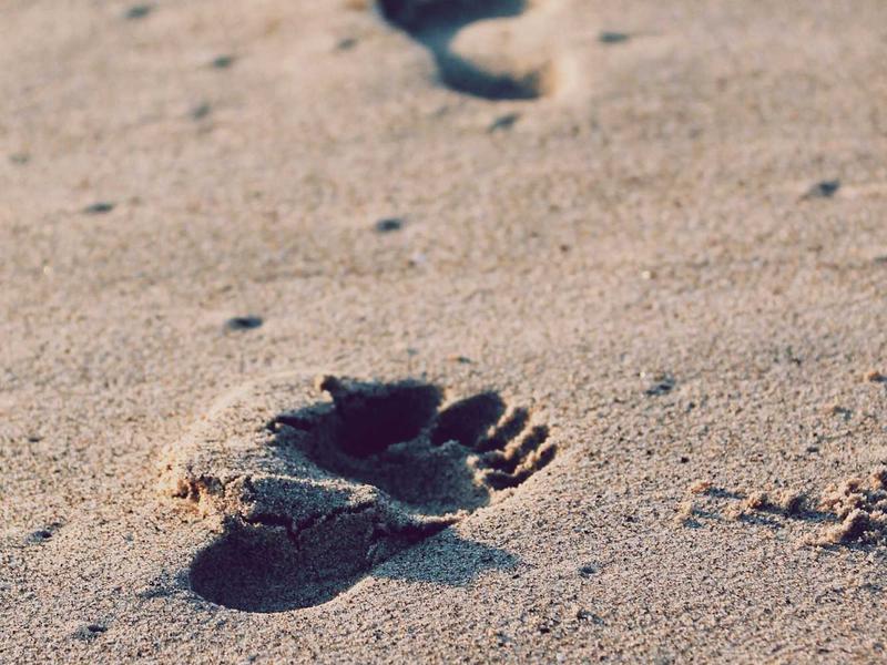 Dacia Jogger 1.0 TCe Extreme