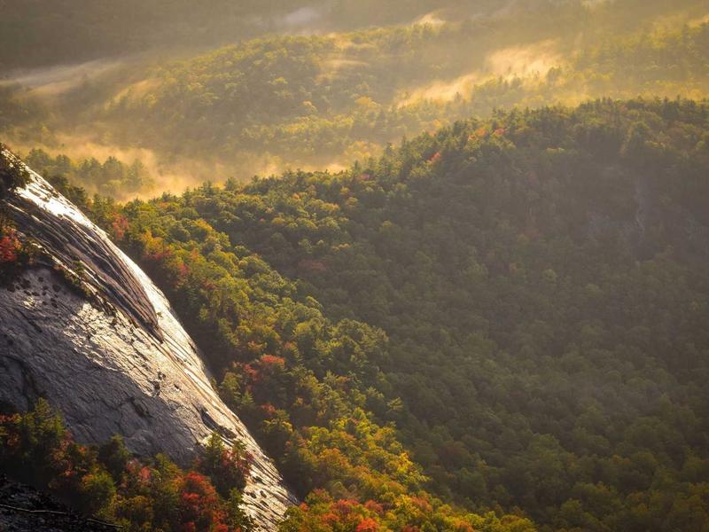 Dacia Jogger 1.0 TCe Extreme