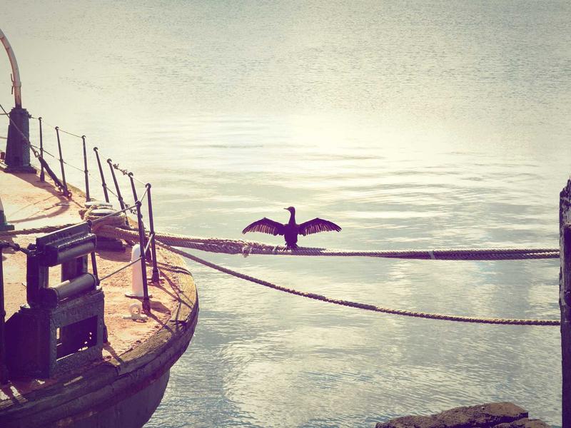 Dacia Sandero Stepway 1.0 TCe Comfort