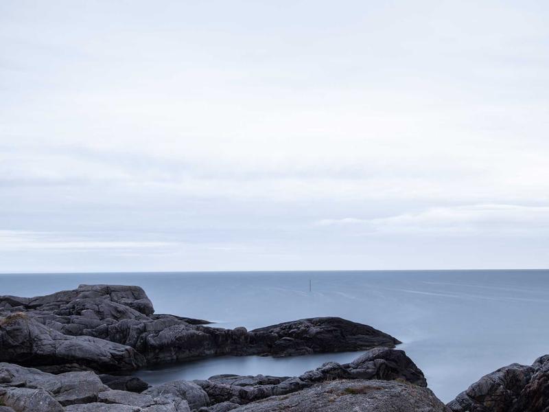 Ford Puma 1.0 EcoBoost mHEV ST-Line