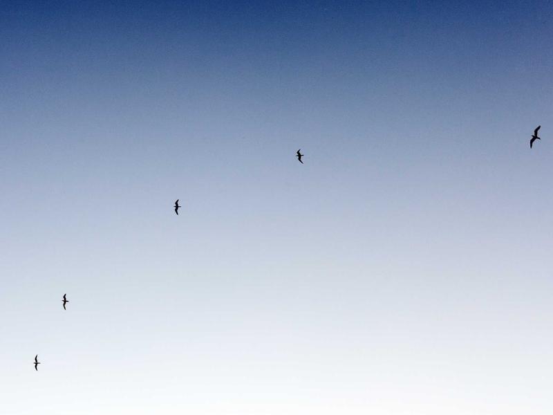 Hyundai i30 1.5 T-GDi N-Line