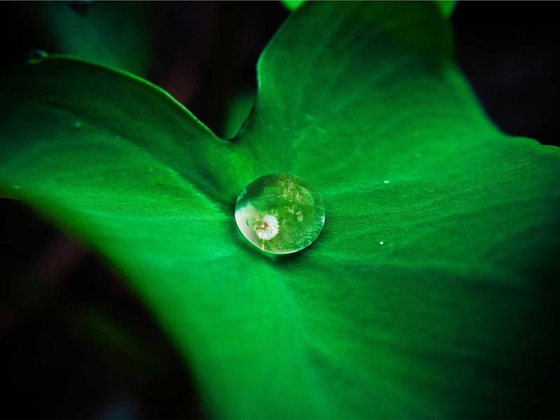 Hyundai i30 1.5 T-GDi N-Line