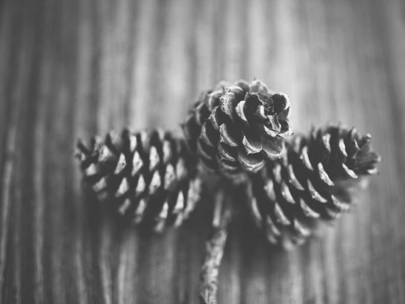 Kia Ceed 1.5 T-GDi GT-Line