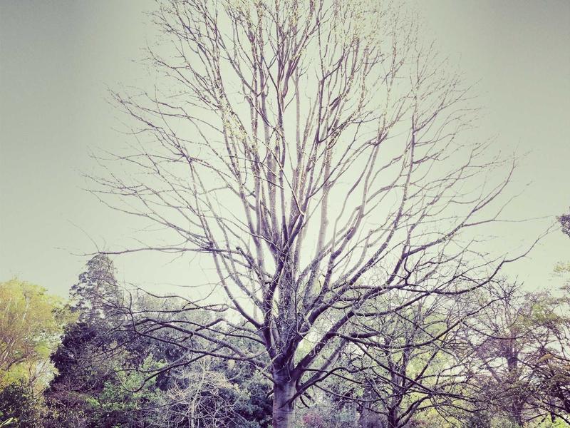 Kia EV6 77.4 kWh Long Range