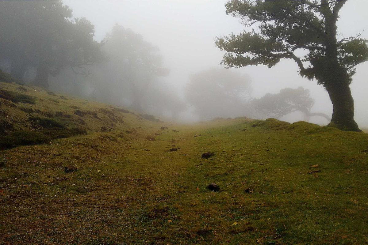 Volvo XC40 T4 Recharge R-Design