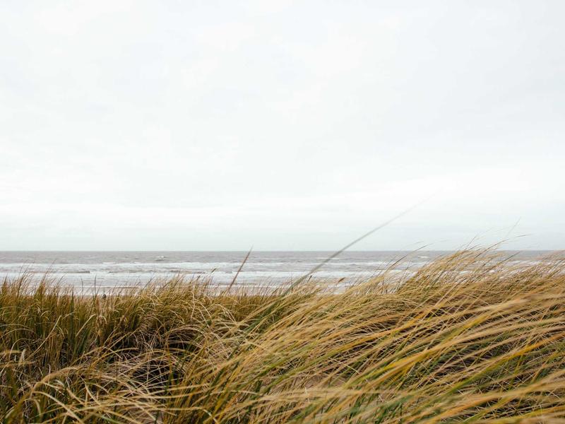 Volvo XC60 B5 AWD Inscription