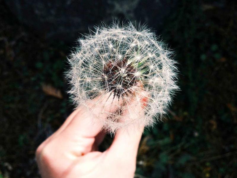 Volvo XC60 B5 AWD Inscription