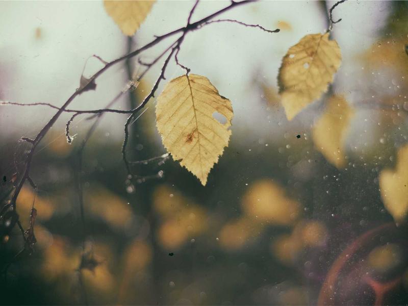 Volvo XC60 B5 AWD Inscription