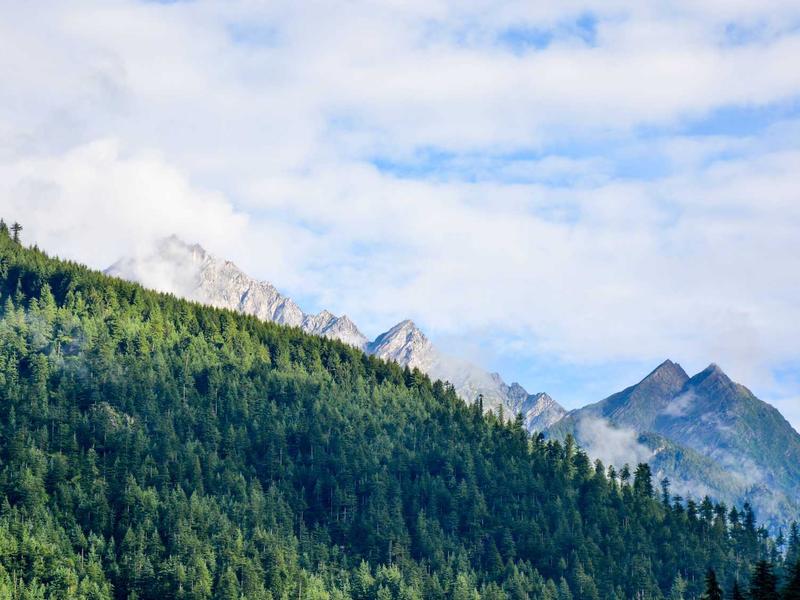 Volvo V60 B4 Momentum