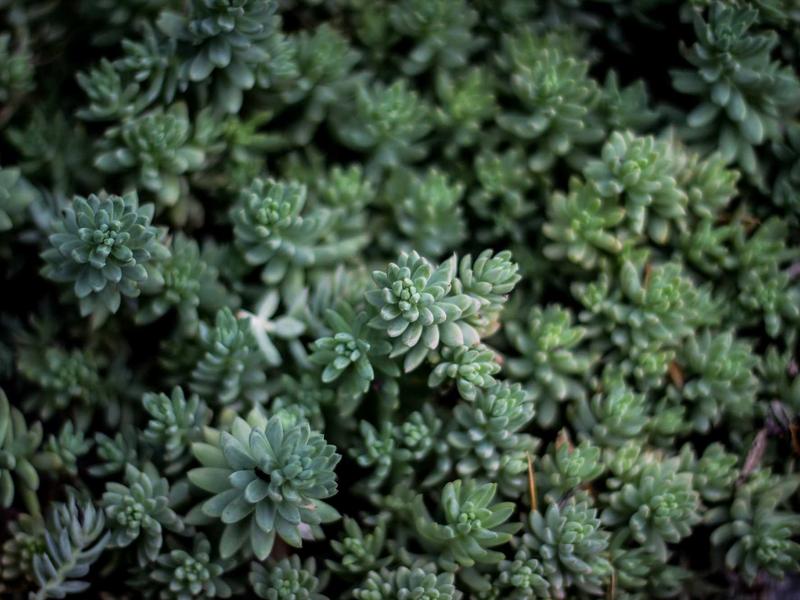 Mazda 3 2.0 Skyactiv-G Exclusive