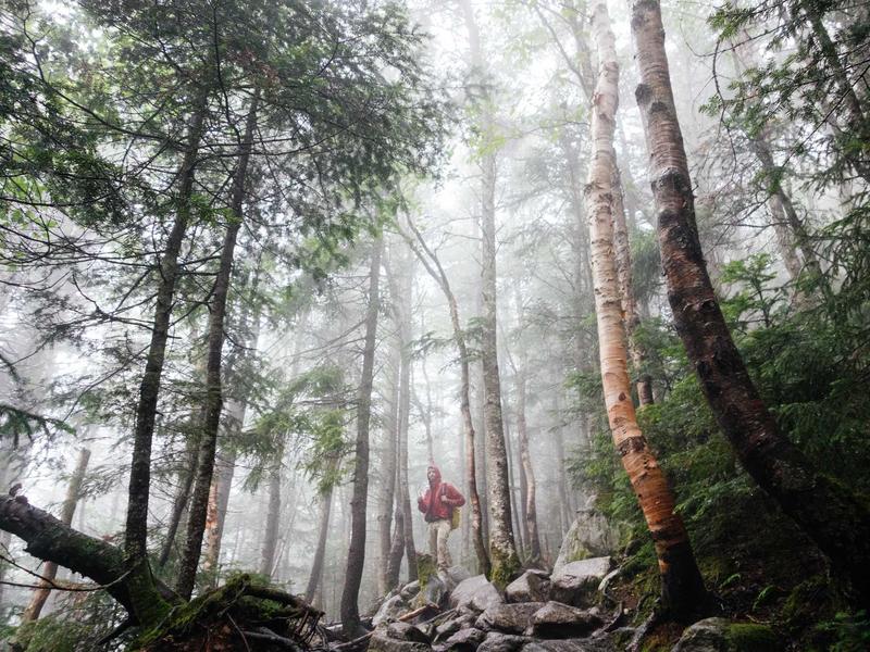 Peugeot 3008 1.5 BlueHDi GT