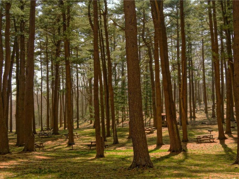 Peugeot 3008 1.5 BlueHDi GT