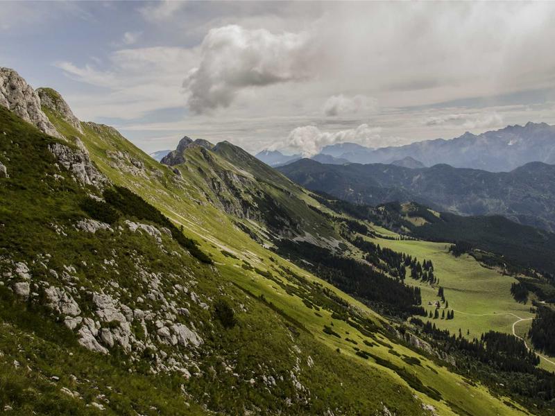 Peugeot 308 1.5 BlueHDi GT