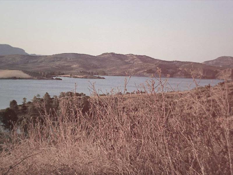 Renault Austral 1.3 TCe Mild Hybrid Techno