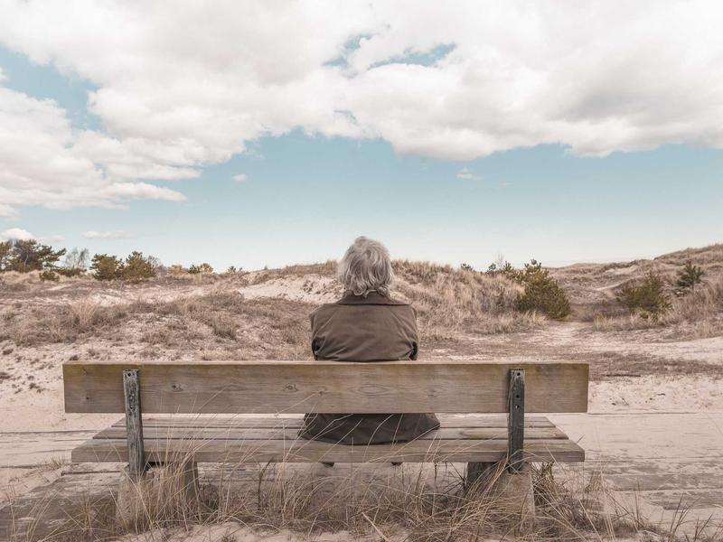 Renault Austral 1.3 TCe Mild Hybrid Techno