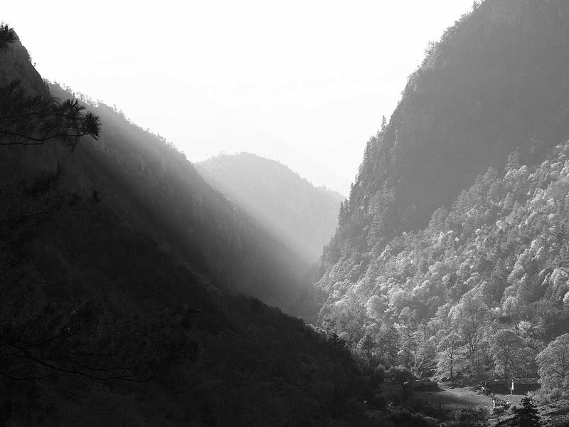 Renault Austral 1.3 TCe Mild Hybrid Techno