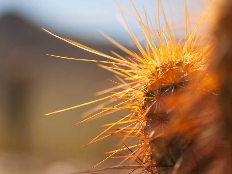 Opel Astra 1.5 Diesel GS Line