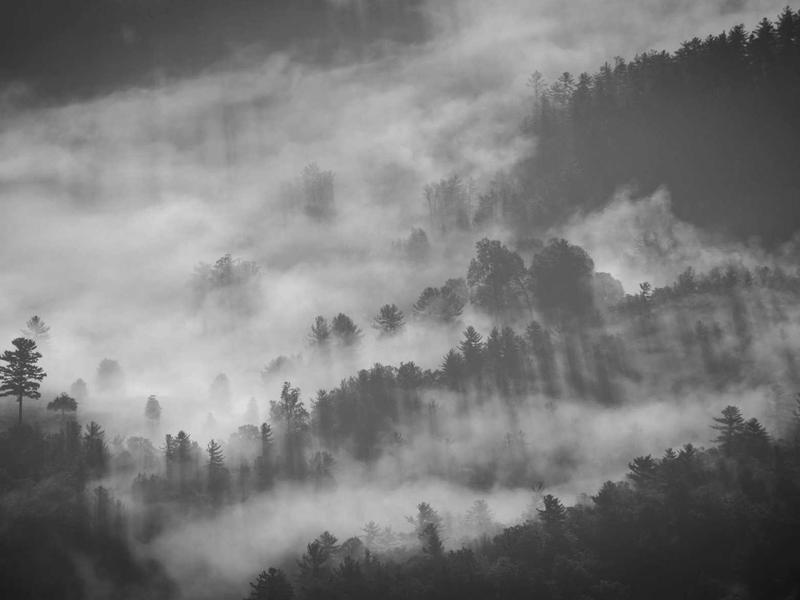 Opel Mokka-e GS Line