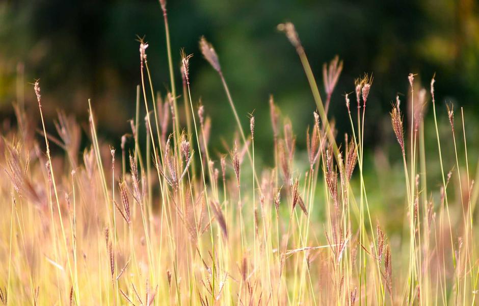Audi Q5 40 TDI Quattro