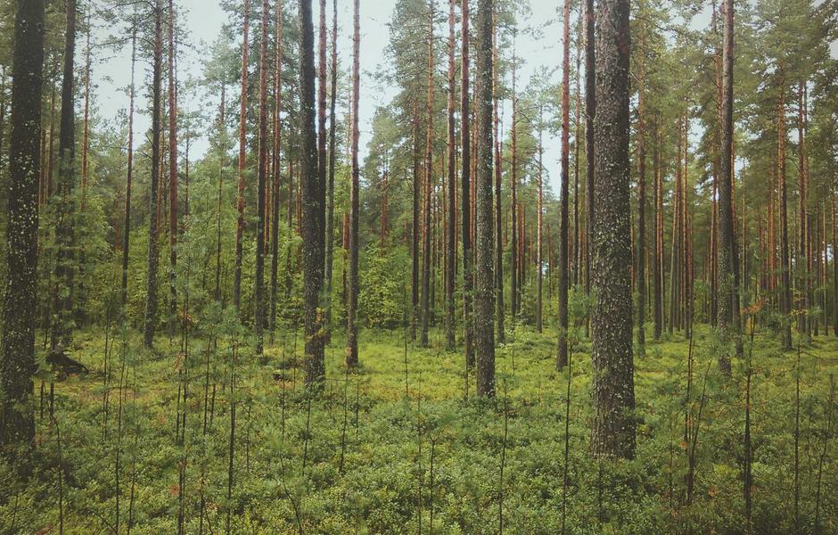 Audi A3 30 TFSI S-Tronic