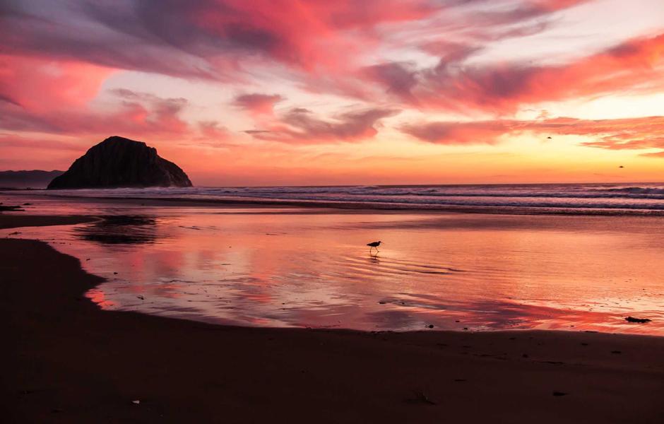 Volkswagen Golf 2.0 TDI DSG